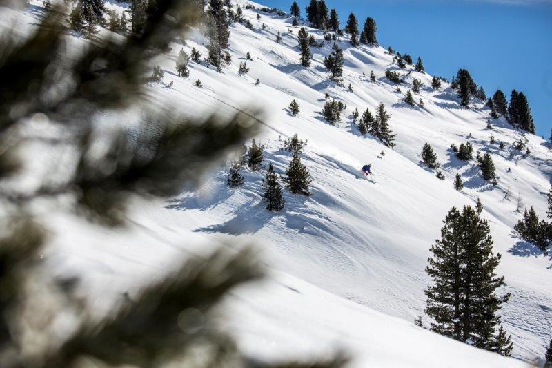 USA Skiing 