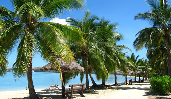 Sailing past Fijian palm trees 