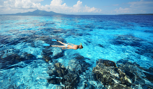 diving Indonesia diving Indonesia