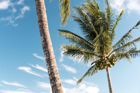 hawaii.jpg hawaii.jpg