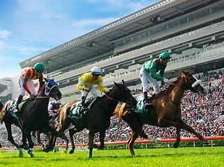 horse racing horse racing