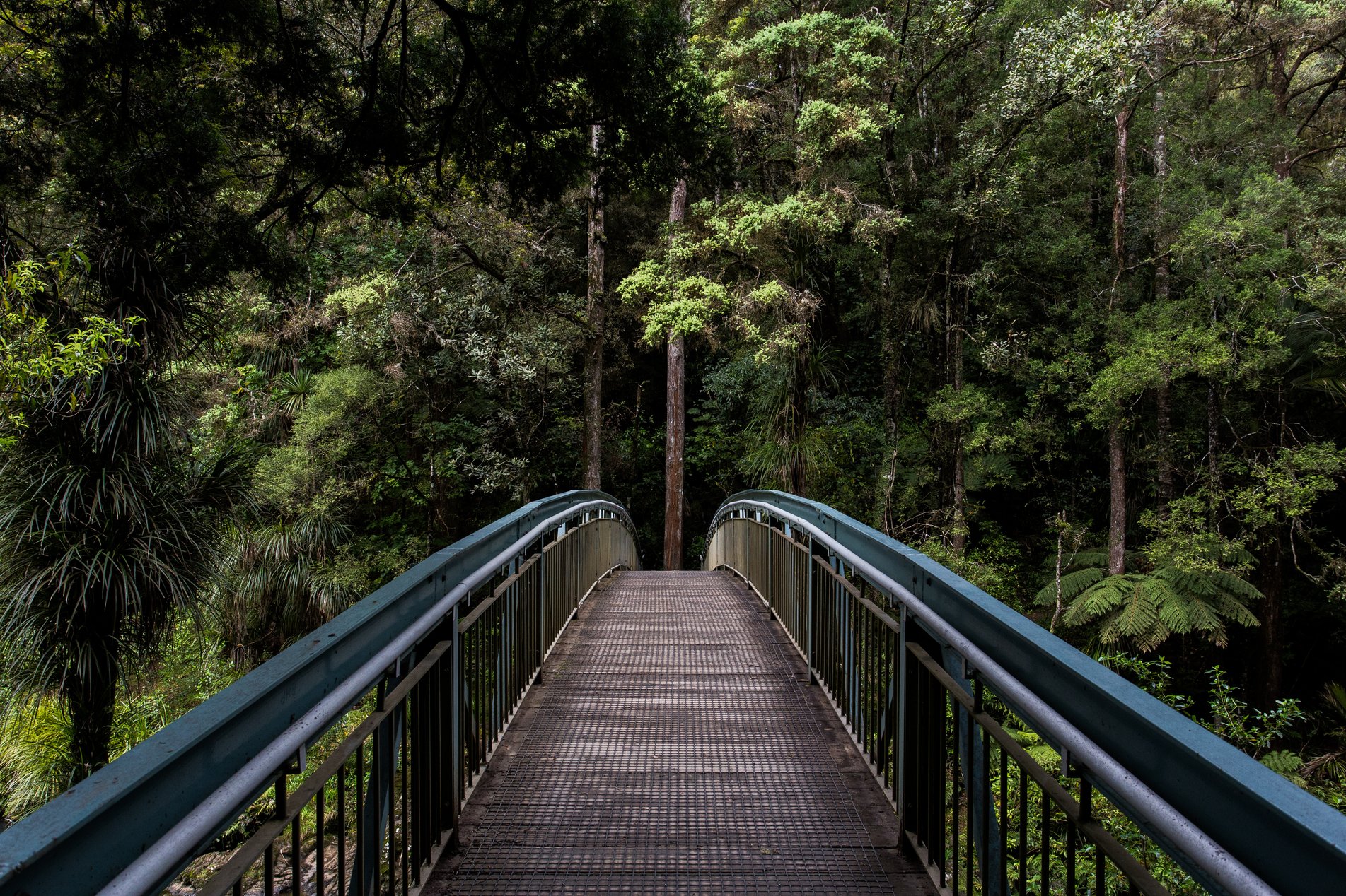 hiking whangarei