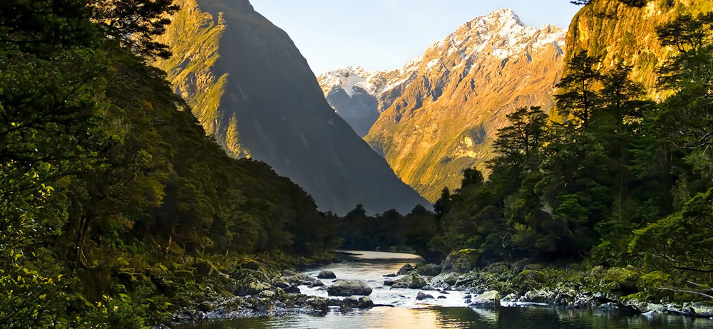 Inner cove New Zealand